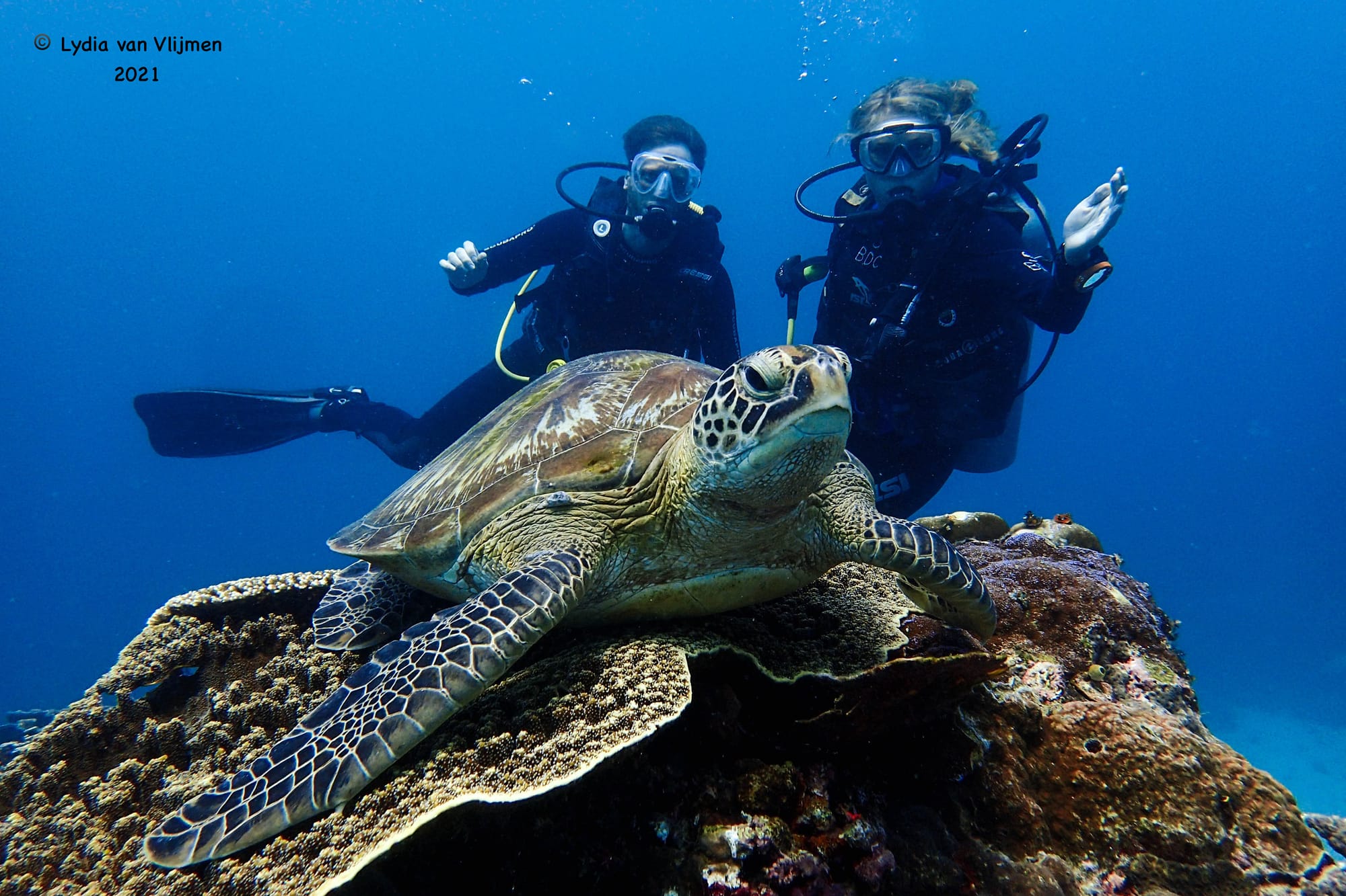 dive trip labuan bajo