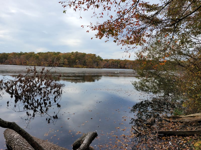 Blydenburgh County Park - Stump Pond Loop Trail (Smithtown, NY) - The ...